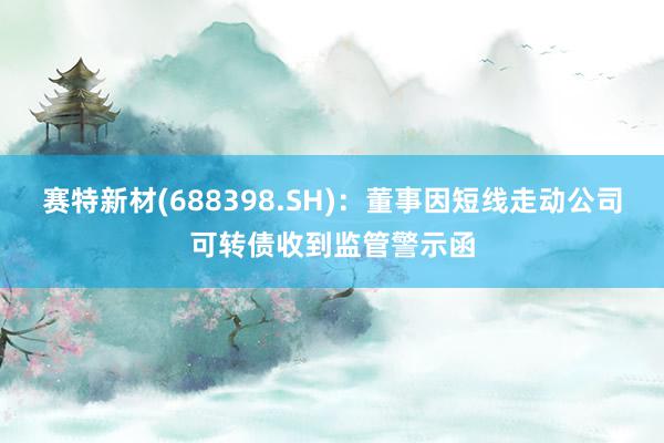 赛特新材(688398.SH)：董事因短线走动公司可转债收到监管警示函