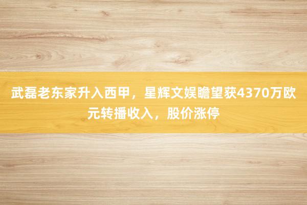 武磊老东家升入西甲，星辉文娱瞻望获4370万欧元转播收入，股价涨停