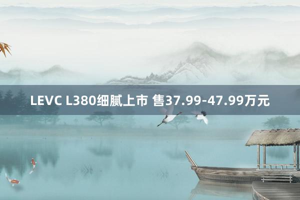 LEVC L380细腻上市 售37.99-47.99万元