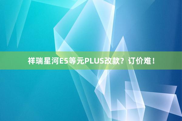 祥瑞星河E5等元PLUS改款？订价难！