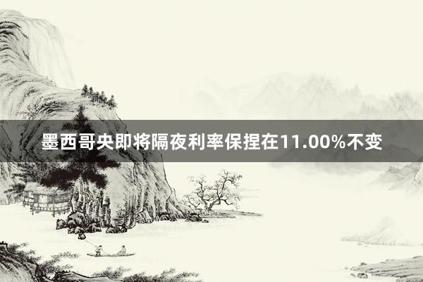 墨西哥央即将隔夜利率保捏在11.00%不变