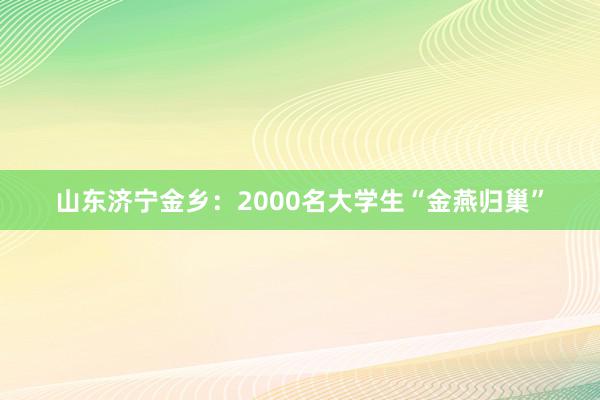 山东济宁金乡：2000名大学生“金燕归巢”